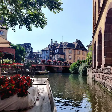 Au Kugelhopf Doré - Centre Historique Colmar Extérieur photo