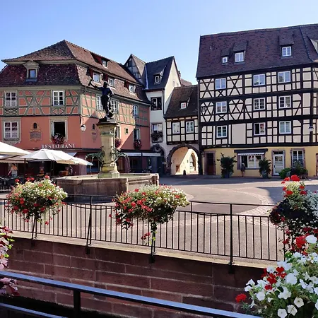 Au Kugelhopf Doré - Centre Historique Colmar Extérieur photo