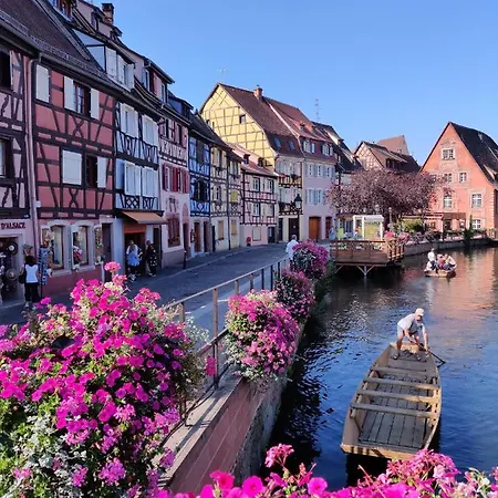 Au Kugelhopf Doré - Centre Historique Colmar Extérieur photo