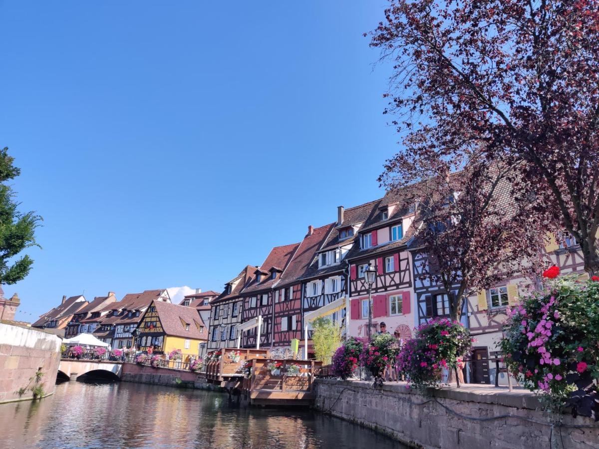 Au Kugelhopf Doré - Centre Historique Colmar