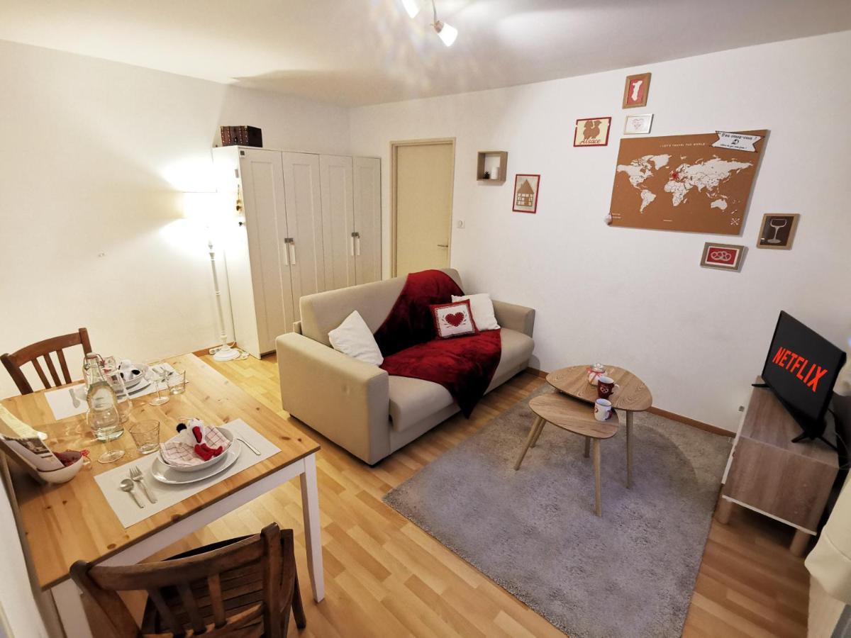 Apartment Au Kugelhopf Doré - Centre Historique *