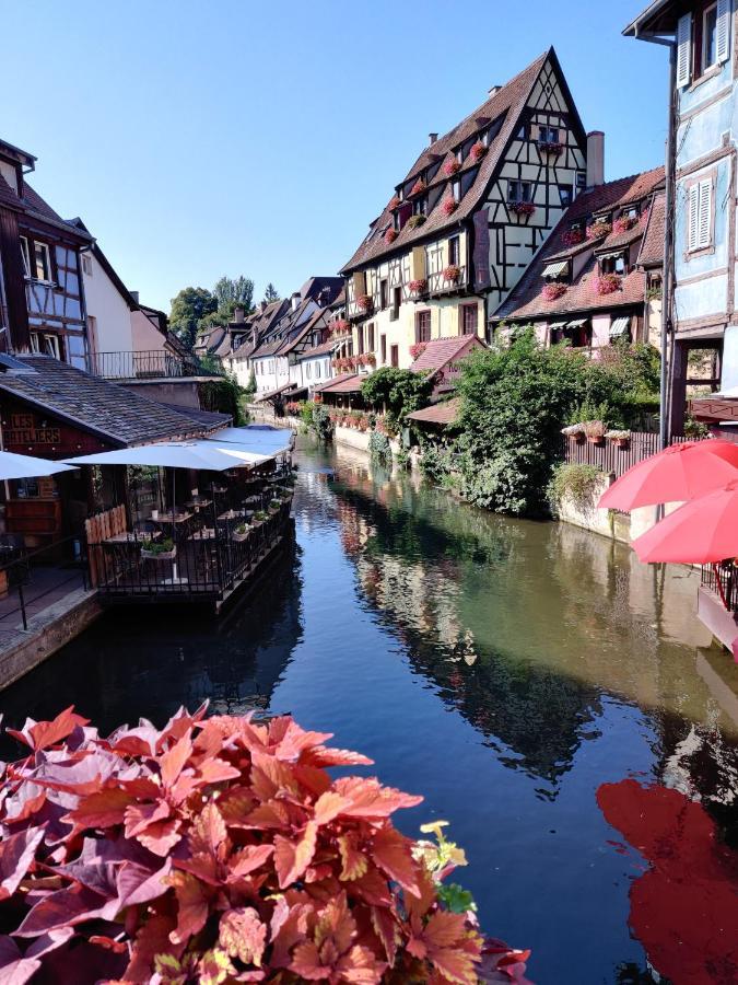 Au Kugelhopf Dore - Centre Historique Apartment Colmar